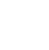 Visa Icon